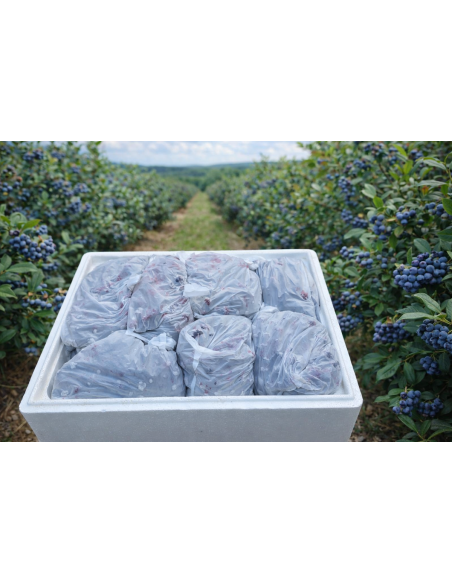 Arandanos congelados 7kg