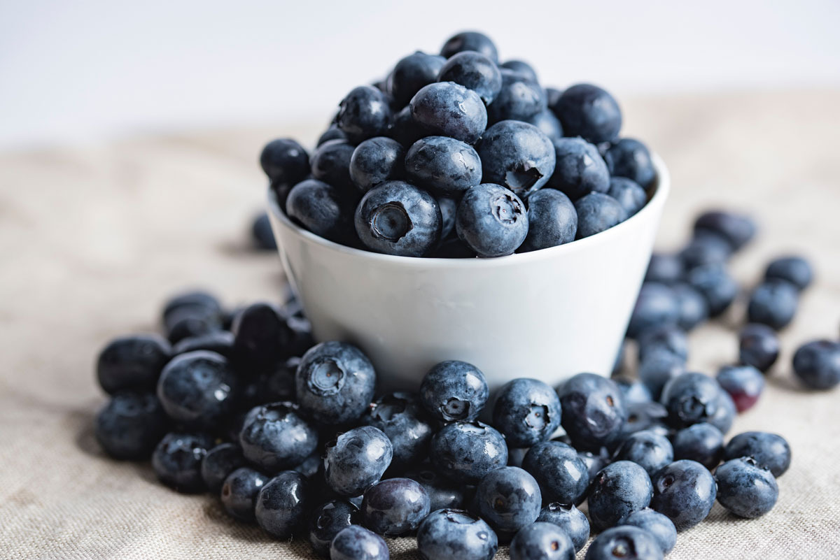 Properties of the blueberry